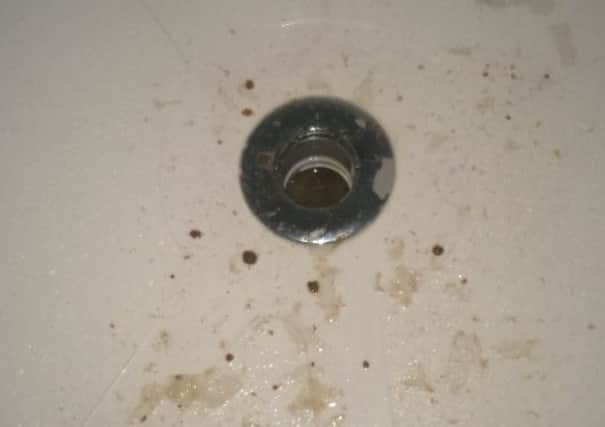 Sewage coming from the plug hole