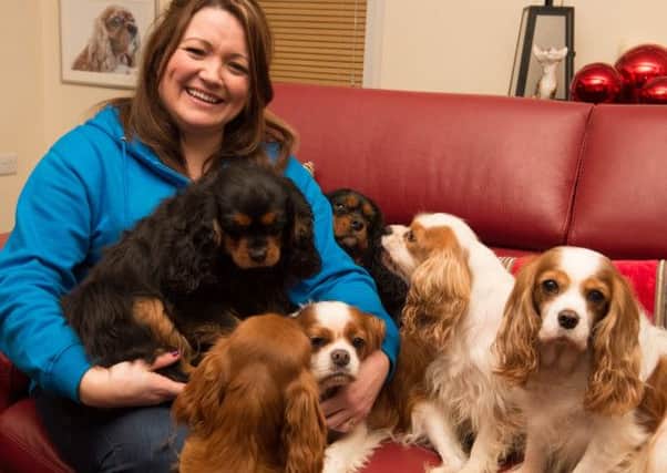 Catherine Southwell who has rescued 260 Cavalier King Charles spaniels.  INPT0415-401