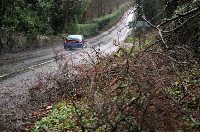 Debris on the Springhill Road outside Moneymore as the high winds cause havoc in Mid Ulster. INMM0114-105ar.