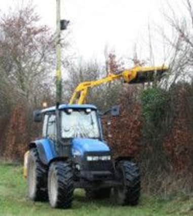 NIE tree maintenance crews at work near overhead electricity lines.