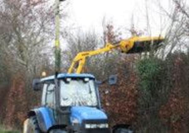 NIE tree cutting crews clearing vegetation near the electricity network.