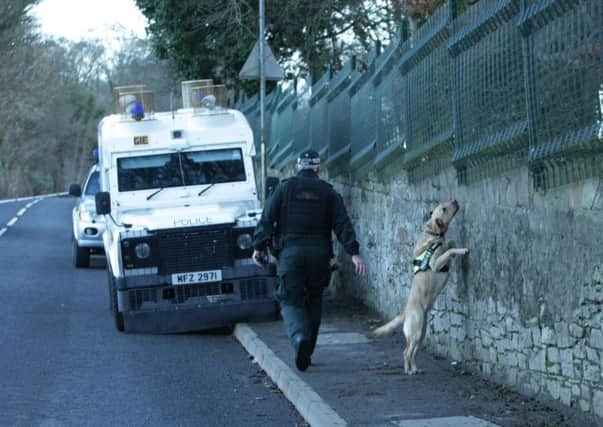 A PSNI sniffer dog is brought into search during yesterday's security alert at Curryneirin Estate. It followed a coded warning to the Derry Journal. DER0715MC010