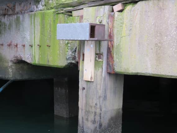 One of the guillemot boxes at the pier. INCT 10-757-CON