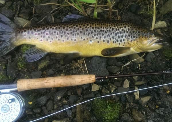 Angling.