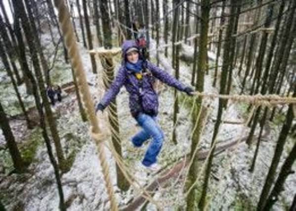 Take the treetop challenge at the Jungle
