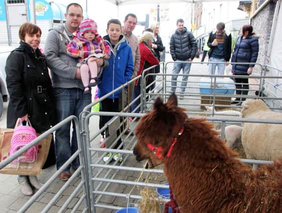 The McAuley family enjoyed looking at "Phil's Farm" animals on display during Saturday's Mill Street Easter event. INBT 14-914H