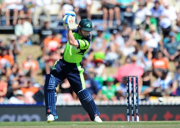 Ireland's William Porterfield batting against the West Indies during the World Cup. Picture by Chris Symes/INPHO