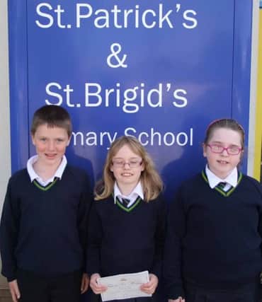 St Patrick's and St Brigid's pupils get published. INBM20-15 KMA