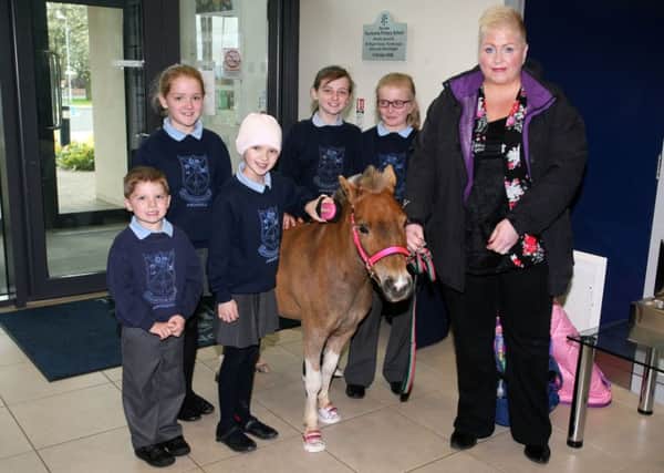 Fourtowns PS pupil Molly Taylor, who has recently undergone surgery for a brain tumor, is pictured meeting Summer the Therapy pony who visited the school last week. Molly is pictured with family Ellie and Matthew, and friends Gemma and Emma, and Samantha Hayes. INBT21-220AC