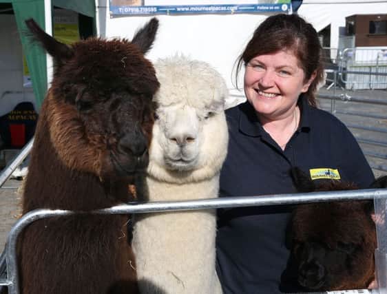 Michelle Dunniece from Mourne Alpacas, Dromara  which uses the wool from Hauyacaa Alpacas  during the first day of the Balmoral Show. Picture  by Brian Little/Presseye