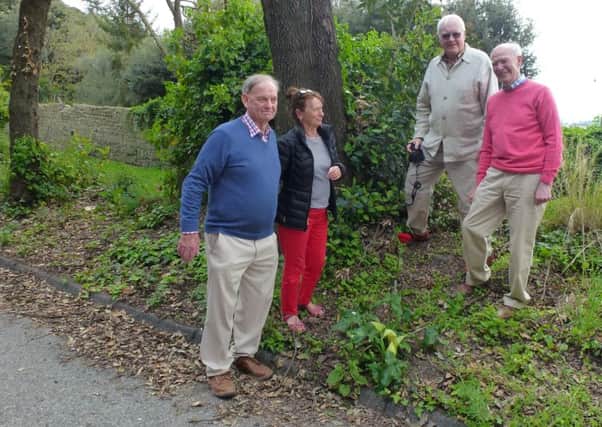 U3A members (from left) Ken McCormack, Loretto Blackwood, Mike Jones and Jim Hunter at the spot where the Earl Bishop fell from his horse and died shortly thereafter.