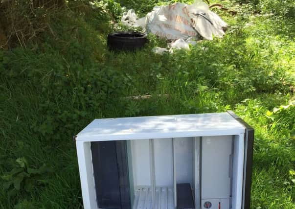 A discarded fridge and building material dumped at Forge Road, in Curryfree, near Ardmore.