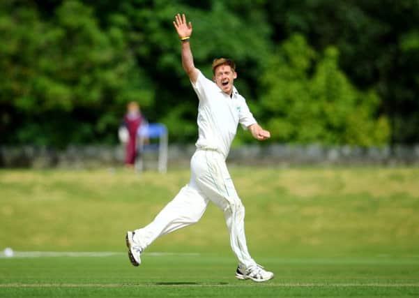 Ireland's Craig Young celebrates taking a wicket against United Arab Emirates. Picture by Cathal Noonan/INPHO