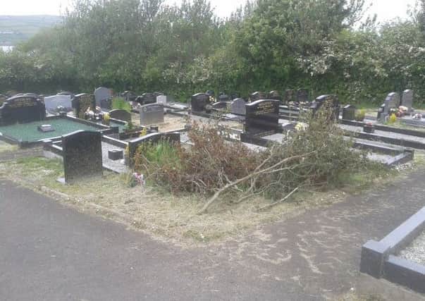 Tree branches lying beside graves at the new cemetery in Islandmagee. INLT-23-706-con