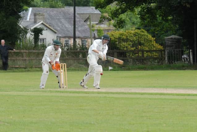 Ryan McCart was on fire on Sunday, batting his way to 85 off just 10 overs. INBL1333-MILLPARK1