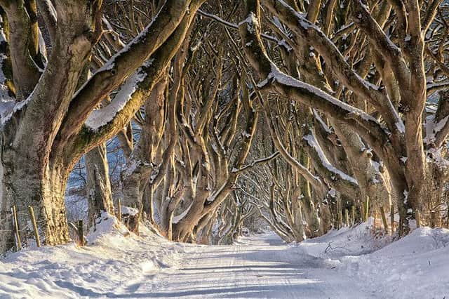 The Dark Hedges was used as one of the locations in Game Of Thrones.