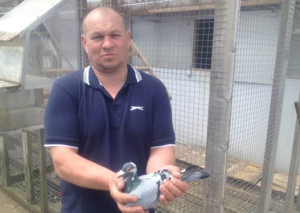 Pigeon fancier, Harry McCloy. (Submitted Picture).