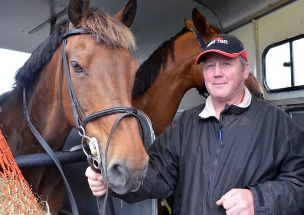 Brian Rankin keeps 'Tease Me Tiger' dry in the trailer before the Mid Antrim horse show.  INBT 27-706H