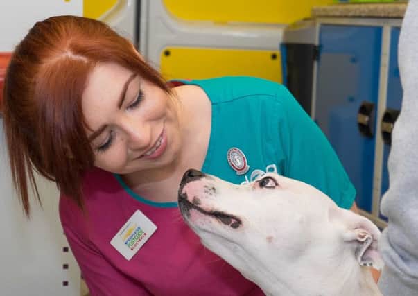 Vet charity PDSA is setting tails wagging with plans to visit Ballymena on Thursday 16 July, at the start of its two week 'pet wellbeing' tour of Northern Ireland. (Submitted Picture)