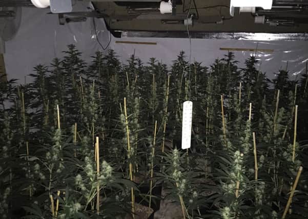Cannabis with an estimated street value of £200,000, was found in Cookstown yesterday, July 14