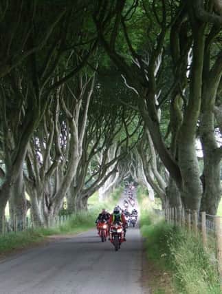 Bikers riding through The Dark Hedges, which has recently been made famous by Game of Thrones and have become a huge tourist destination in Northern Ireland.