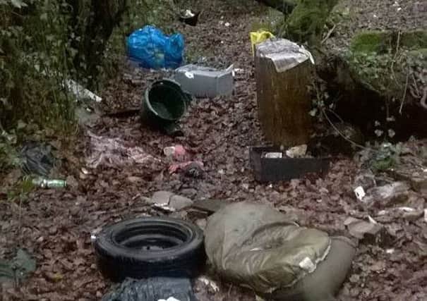 Dumpers left rubbish just off the Dungannon-Cookstown Road