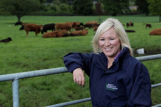 Agriculture Minister Michelle O'Neill.