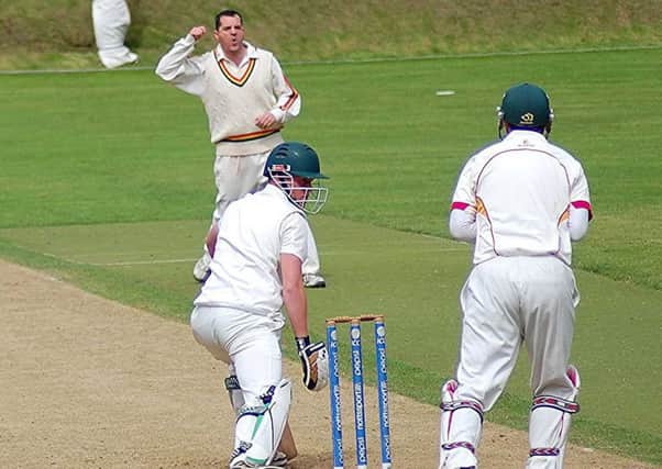 Lurgans Paul Stafford claims his first wicket on Saturday as he has Derriaghys Peter Bell caught behind by  Stephen Chambers.