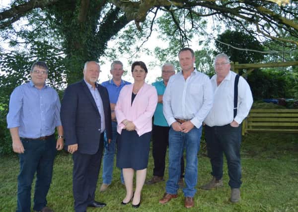 Finance Minister Arlene Foster and Upper Bann MP David Simpson have met with a group of dairy farmers to hear first hand the current challenges facing the farming sector.