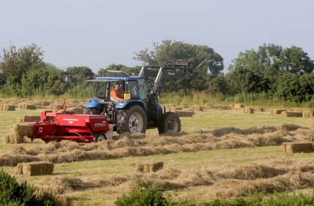 Making hay while the sun shines...PICTURE KEVIN MCAULEY/MCAULEY MULTIMEDIA