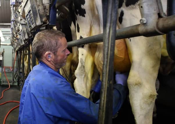 Farmer William Westacott milks cows at Home Farm near Sevenoaks. PRESS ASSOCIATION Photo. Picture date: Monday August 10, 2015. British-produced food may disappear from many supermarket shelves within months due to the "crisis" facing the farming industry, a union has warned. See PA story INDUSTRY Milk. Photo credit should read: Steve Parsons/PA Wire