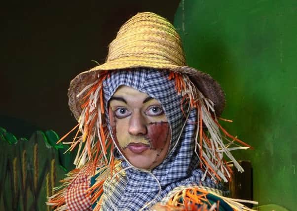 Jordan Donnelly as the Scarecrow 
Wizard of Oz Production Shots 

Market Place Theatre, Armagh,  
13 August 2015
Credit: LiamMcArdle.com
