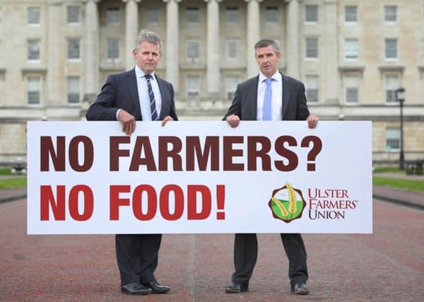UFU leaders Barclay Bell and Ian Marshall at Stormont ahead of Friday's protest over a slump in prices that has put some farmers close to bankruptcy. Picture: Cliff Donaldson