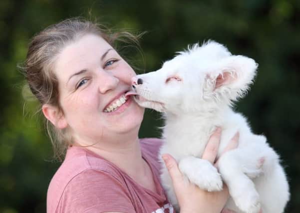 Claire McCleary from Almost Home animal rescue, Moira, with collie puppy Faith. US1535-509cd  Picture: Cliff Donaldson