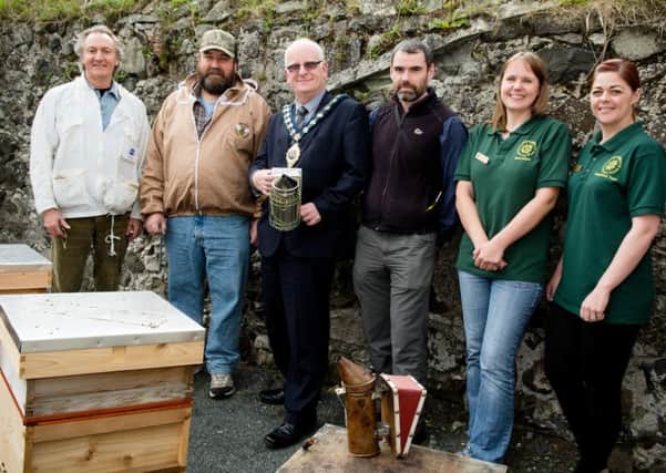 Rev Stephen Robinson, Secretary of the East Antrim Bee Keepers Association (EABKA,) is pictured with EABKA colleagues, staff from Carnfunnock and the Mayor Councillor Billy Ashe as he prepares to meet the Native Irish Honeybees. INLT 39-689-CON