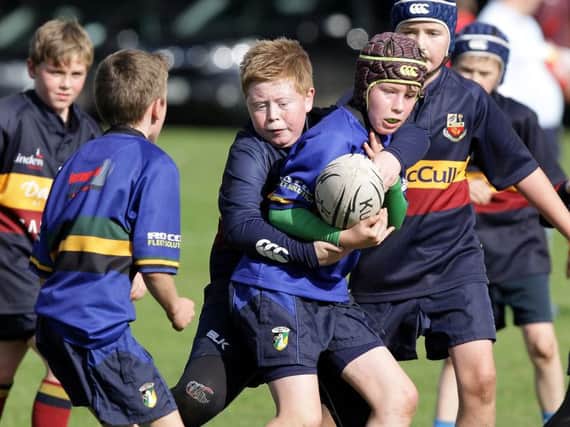Action from the mini rugby between Lisburn and Banbridge, at Lisburn Rugby Club. US1539-516cd  Picture: Cliff Donaldson