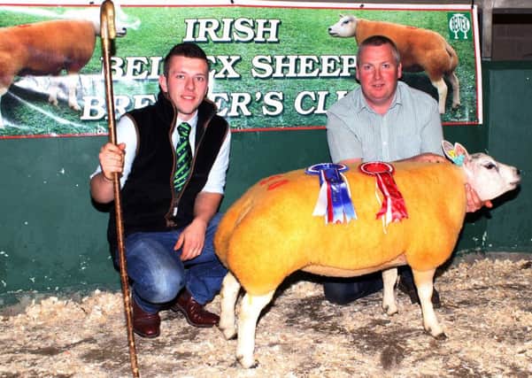 Pictured with Reserve Champion Shearling ewe, Lagyveagh Well Dressed is Eddie O'Neill from Glenarm and judge, Matthew Burleigh.  INLT 41-660-CON