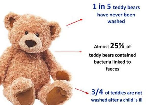 What bacteria are lurking in the innocent teddy bear?