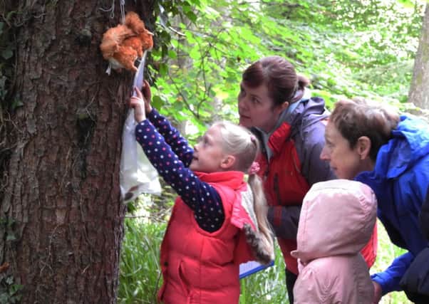 Charlotte Killen finding a clue in treasure hunt during the Red Squirrel Group event at the weekend.