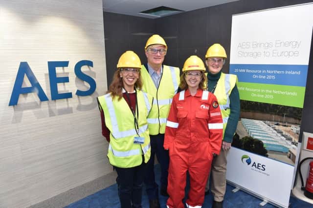New York Assembly members Amy Paulin and Brian Kavanagh, Carla Tully, president AES UK & Ireland and Eileen Kavanagh, Belfast Homecoming delegate, at the Kilroot plant. INCT 41-790-CON