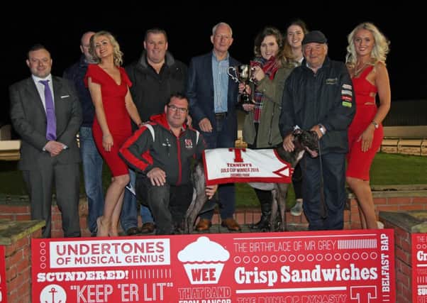Quietly, trained by Ian Reilly from Navan and owned by the K-S-S-Syndicate, Kent, won the 2015 Tennents Gold Cup at Drumbo Park Greyhound Stadium. The top dog is pictured with (from left): John Connor, Racing Manager for Drumbo Park, Ciaran Burke, Tennents promotional girl Steph McGall, trainer Ian Reilly, (crouched) David White, Ross Heggarty, Tennents NI Regional Sales Manager presenting the trophy to Eadaoin Keys, Shannon Riley, Frank Burke, and Tennents promotional girl Lucy Stewart.