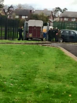 Police shoot deat a wild stag on the grounds of Antrim Grammar School.