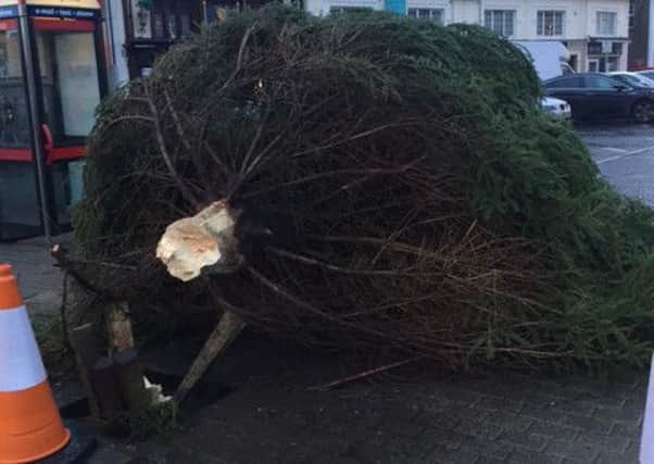 Magherafelt Christmas tree which came down overnight