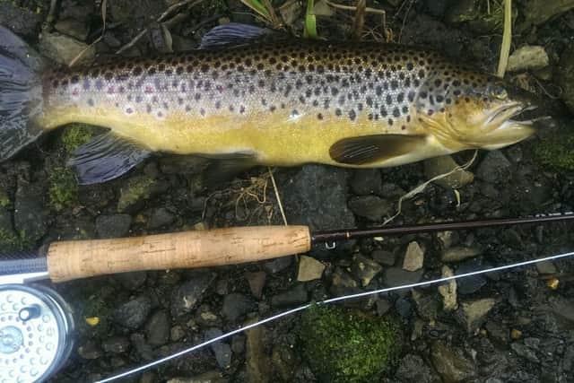 Angling.