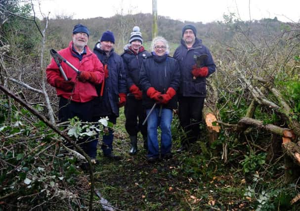 Participants learning the ancient skill of hedge laying at Diamond Jubilee Wood. INCT 49-706-con