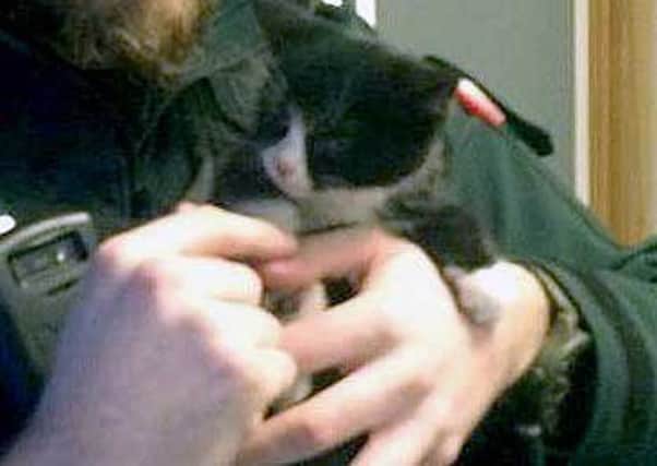 The kitten has found a new home with a PSNI officer