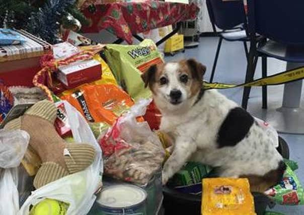 Dogs Trust Ballymena thank local public for Christmas donations.