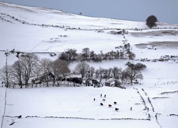 The Dromara Hills could be white again tonight. Picture: Cliff Donaldson