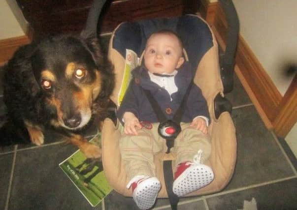Bobby the dog with Victoria's six month old son