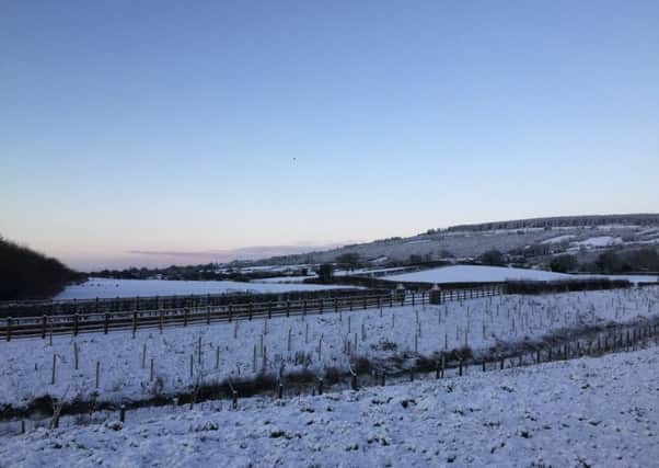 A snowy scene in Ballyboley this morning. INNT 03-805CON